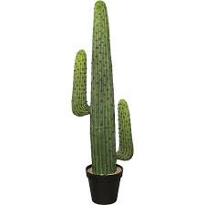 Kaktus meksykański: w donicy z tworzywa | KAISER+KRAFT