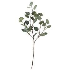 SMYCKA Sztuczny liść, eukaliptus/zielony, 65 cm - IKEA