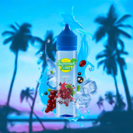 Longfill VAPY SUMMER TIME 10/60ml - Wave