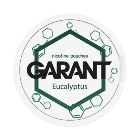 Woreczki Nikotynowe Garant Molecule 20mg - Eucalyptus | E-LIQ