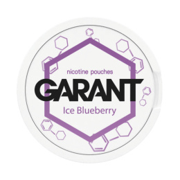 Woreczki Nikotynowe Garant Molecule 20mg - Ice Blueberry | E-LIQ