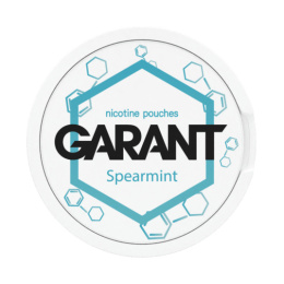 Woreczki Nikotynowe Garant Molecule 20mg - Spearmint | E-LIQ