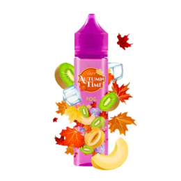 Longfill VAPY Autumn Time Premix 10/60ml - Fog | E-LIQ