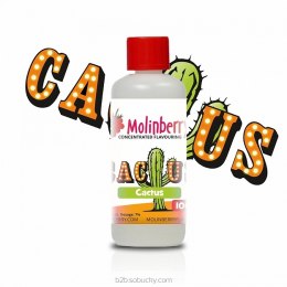 Molinberry 100ml - Cactus
