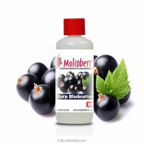 Molinberry 100ml - Sharp Blackcurrant