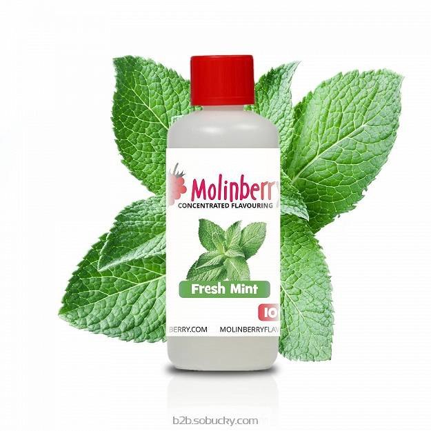 Molinberry 100ml - Fresh Mint