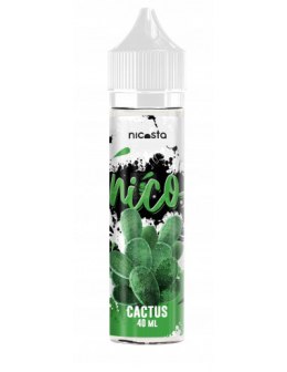 Nicosta - Cactus