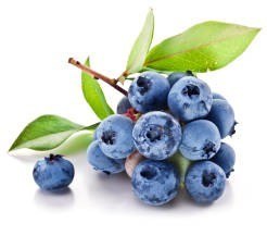 Super Aromas 10ml - blueberry fresh type