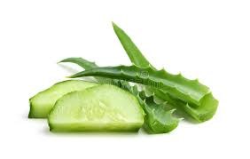 1,216 Aloe Cucumber Stock Photos - Free & Royalty-Free Stock Photos from Dreamstime