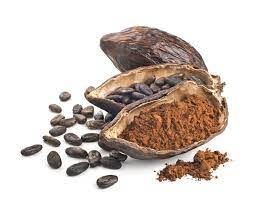 Kakao wydłuża życie - właściwości i wartości odżywcze kakao