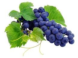 Uważaj na winogrona! I Żywienie Myfitness