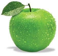 Export jabłek - SAD SANDOMIERSKI Sp. z o.o. - producent naturalnych soków tłoczonych