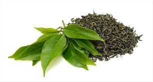 Ceylon Highlands Bio Green Tea- B O P 1 - LanCloves Spices - Ceylon Tea